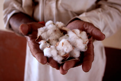 Why We Need to Talk About Kutch’s Organic Kala Cotton