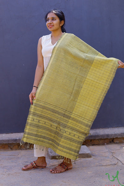 Traditional Kutchi Yellow Black Peti Organic Kala Cotton Handwoven Stole with Extra-Weft Designs by Khamir